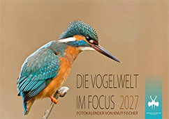 kalender-vogelwelt-im-focus-2026-kl